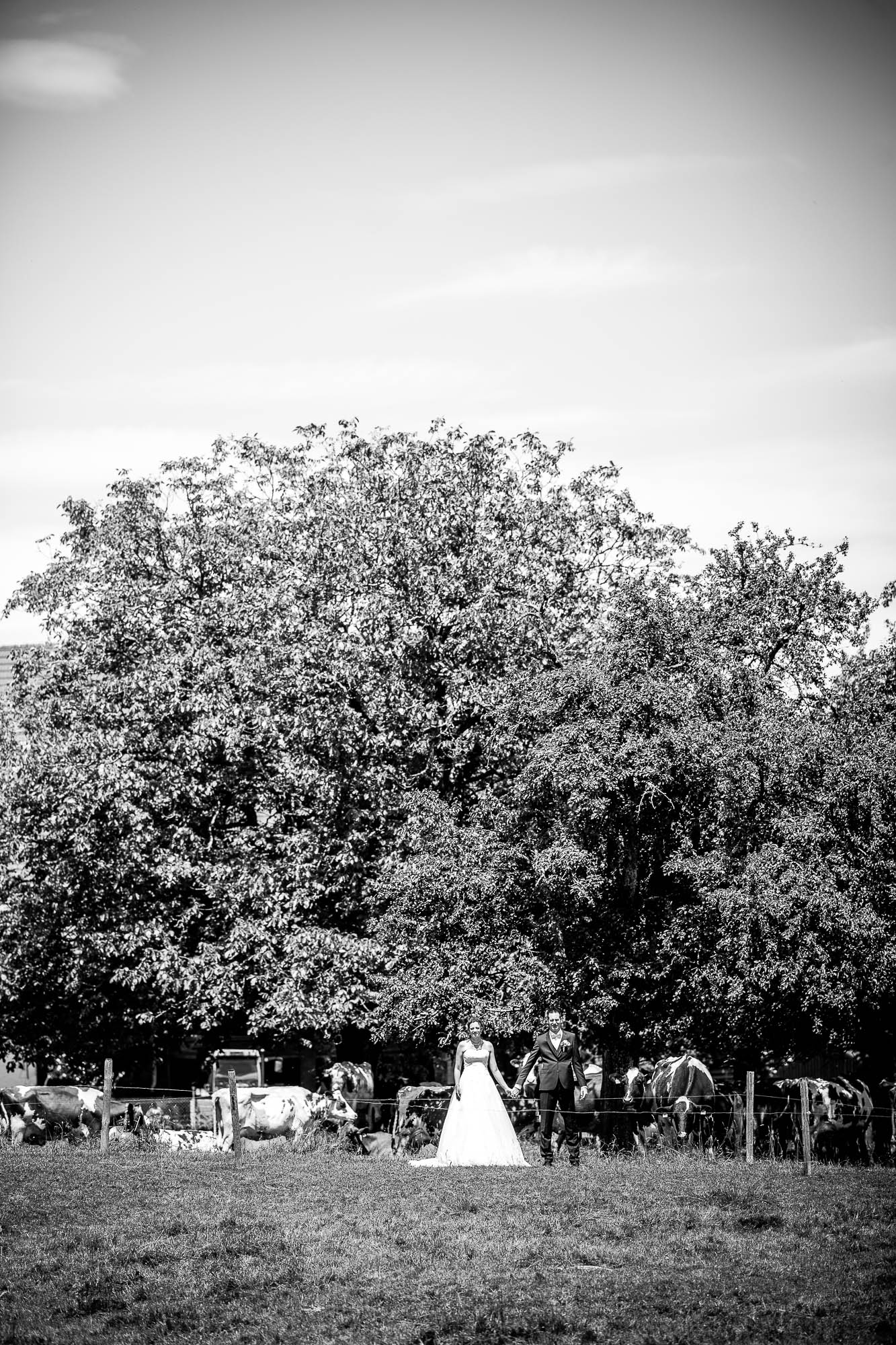 Export x3 1DX27521 Hochzeit 2020 Claudia & Marco 3